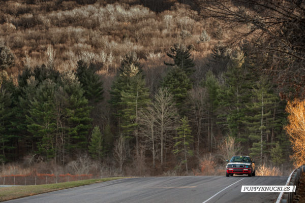 AER-Lime-Rock-2014-Puppyknuckles-0565 AER-Lime-Rock-2014-Puppyknuckles-0565