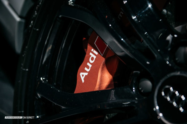 Audi-R8-dw-burnett-puppyknuckles-8754 Audi-R8-dw-burnett-puppyknuckles-8754