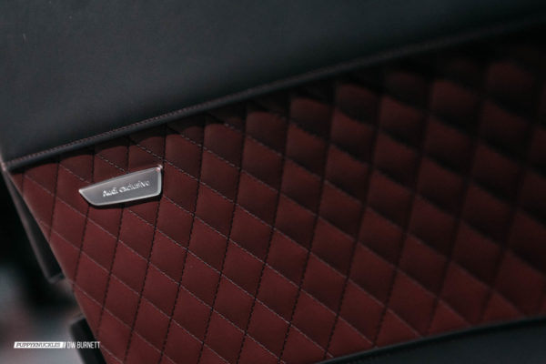 audi-R8-dw-burnett-puppyknuckles-8762 audi-R8-dw-burnett-puppyknuckles-8762