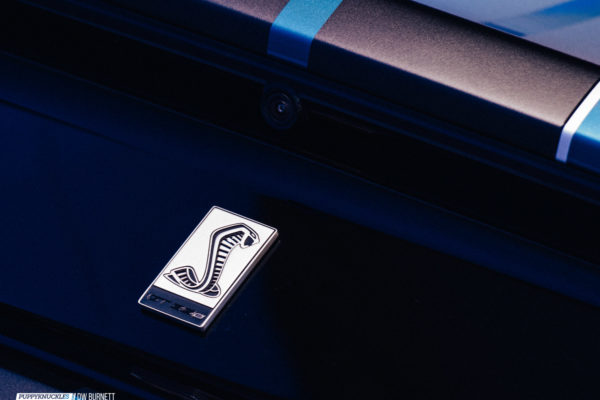 dw-burnett-puppyknuckles-Mustang-GT350R-NYIAS-7864 dw-burnett-puppyknuckles-Mustang-GT350R-NYIAS-7864