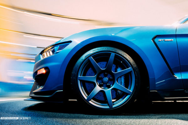 dw-burnett-puppyknuckles-Mustang-GT350R-NYIAS-7893 dw-burnett-puppyknuckles-Mustang-GT350R-NYIAS-7893