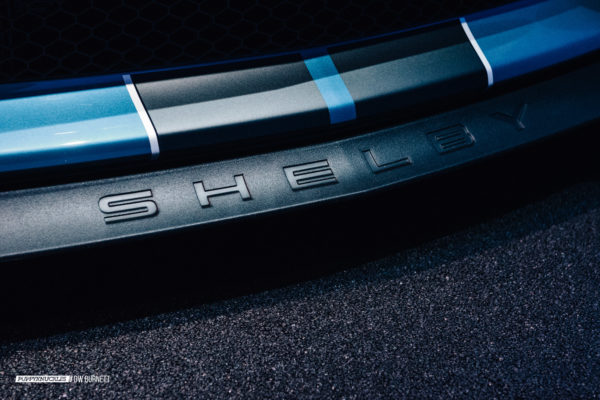 dw-burnett-puppyknuckles-Mustang-GT350R-NYIAS-7970 dw-burnett-puppyknuckles-Mustang-GT350R-NYIAS-7970