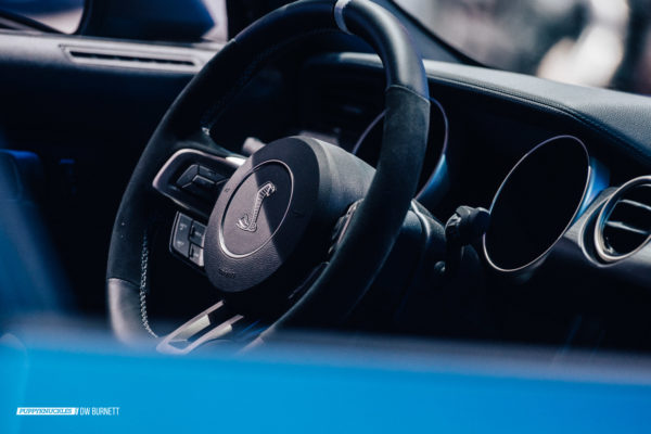 dw-burnett-puppyknuckles-Mustang-GT350R-NYIAS-8015 dw-burnett-puppyknuckles-Mustang-GT350R-NYIAS-8015