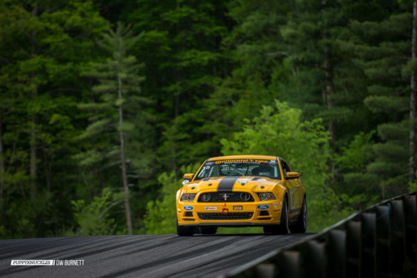 IMSA-Lime-Rock-Saturday-2014-DW-Burnett-PUPPYKNUCKLES-4793 IMSA-Lime-Rock