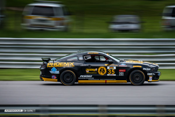 IMSA-Lime-Rock-Saturday-2014-DW-Burnett-PUPPYKNUCKLES-6441 IMSA-Lime-Rock-Saturday-2014-DW-Burnett-PUPPYKNUCKLES-6441