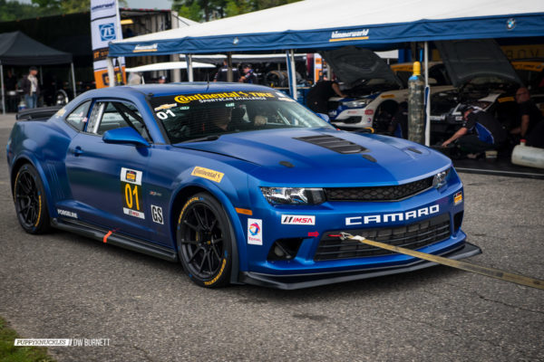 IMSA-Lime-Rock-Saturday-2014-DW-Burnett-PUPPYKNUCKLES-6519 IMSA-Lime-Rock-Saturday-2014-DW-Burnett-PUPPYKNUCKLES-6519