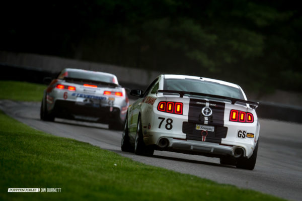 IMSA-Lime-Rock-Saturday-2014-DW-Burnett-PUPPYKNUCKLES-7940 IMSA-Lime-Rock