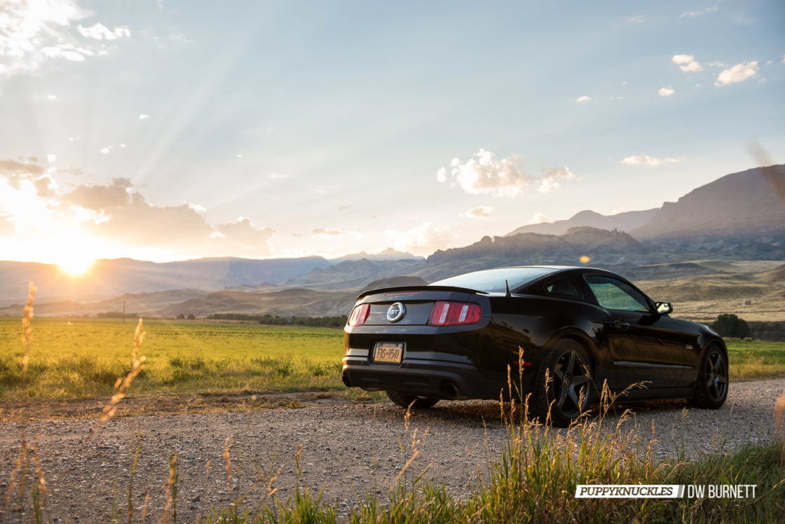 Mustang USA Part Twelve: Yellowstone And Bluegrass – PUPPYKNUCKLES