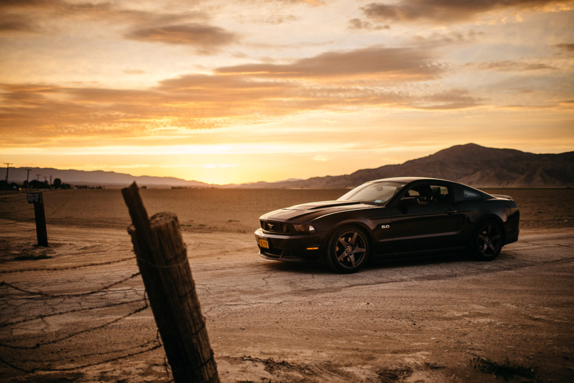 mustang USA dw burnett