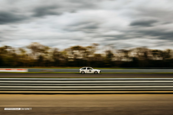 AER-NJMP-DW-Burnett-PUPPYKNUCKLES-3366 AER-NJMP-DW-Burnett-PUPPYKNUCKLES-3366