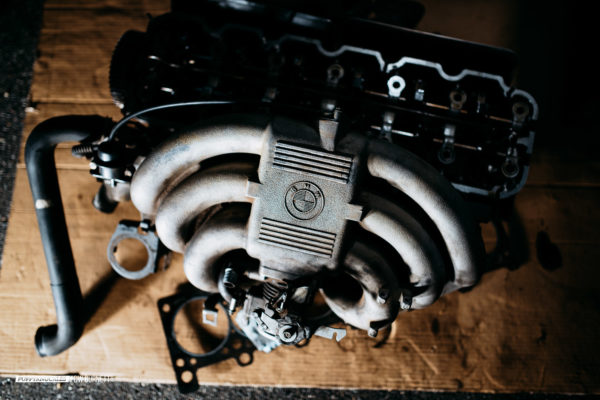 AER-NJMP-DW-Burnett-PUPPYKNUCKLES-3908 AER-NJMP-DW-Burnett-PUPPYKNUCKLES-3908