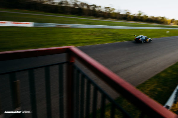 AER-NJMP-DW-Burnett-PUPPYKNUCKLES-5586 AER-NJMP-DW-Burnett-PUPPYKNUCKLES-5586