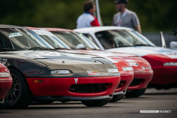 DW-BURNETT-PUPPKNUCKLES-LimeRock-TransAm-2015-2086 DW-BURNETT-PUPPKNUCKLES-LimeRock-TransAm-2015-2086