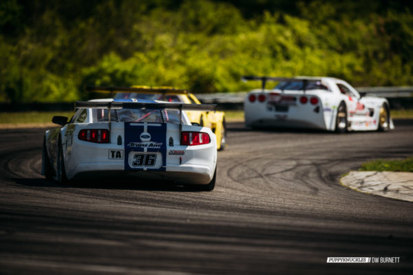 DW-BURNETT-PUPPKNUCKLES-LimeRock-TransAm-2015-4534 DW-BURNETT-PUPPKNUCKLES-LimeRock-TransAm-2015-4534