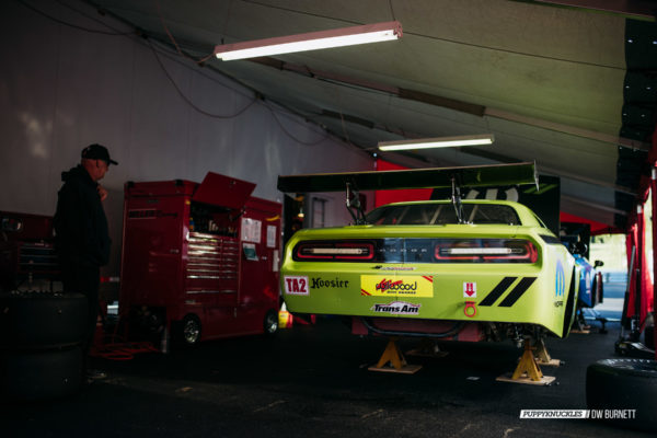 DW-BURNETT-PUPPKNUCKLES-LimeRock-TransAm-2015-7442 DW-BURNETT-PUPPKNUCKLES-LimeRock-TransAm-2015-7442