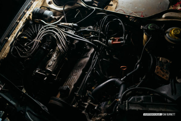 DW-Burnett-PUPPYKNUCKLES-LeMons-24-NJMP-2015-6241 DW-Burnett-PUPPYKNUCKLES-LeMons-24-NJMP-2015-6241