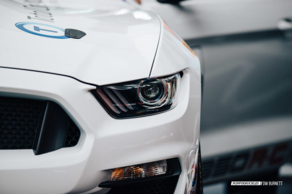 DW-Burnett-PUPPYKNUCKLES-LRP-IMSA-4115 DW-Burnett-PUPPYKNUCKLES-LRP-IMSA-4115