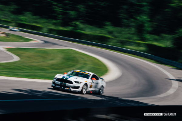 DW-Burnett-PUPPYKNUCKLES-LRP-IMSA-4228 DW-Burnett-PUPPYKNUCKLES-LRP-IMSA-4228