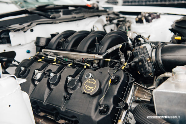 DW-Burnett-PUPPYKNUCKLES-LRP-IMSA-4776 DW-Burnett-PUPPYKNUCKLES-LRP-IMSA-4776