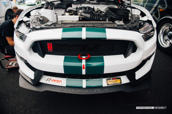 DW-Burnett-PUPPYKNUCKLES-LRP-IMSA-4799 DW-Burnett-PUPPYKNUCKLES-LRP-IMSA-4799