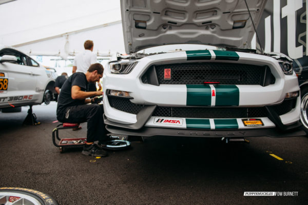 DW-Burnett-PUPPYKNUCKLES-LRP-IMSA-4801 DW-Burnett-PUPPYKNUCKLES-LRP-IMSA-4801