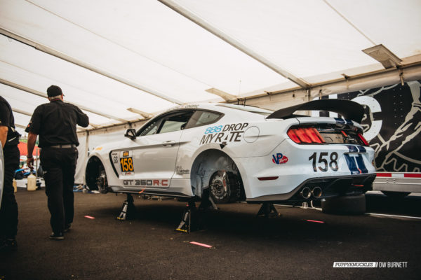 DW-Burnett-PUPPYKNUCKLES-LRP-IMSA-5008 DW-Burnett-PUPPYKNUCKLES-LRP-IMSA-5008