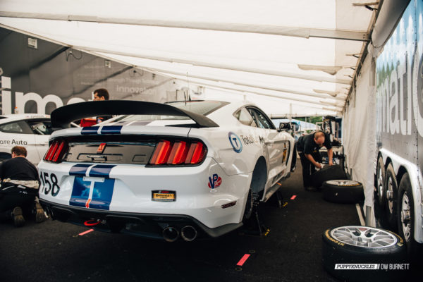 DW-Burnett-PUPPYKNUCKLES-LRP-IMSA-5014 DW-Burnett-PUPPYKNUCKLES-LRP-IMSA-5014