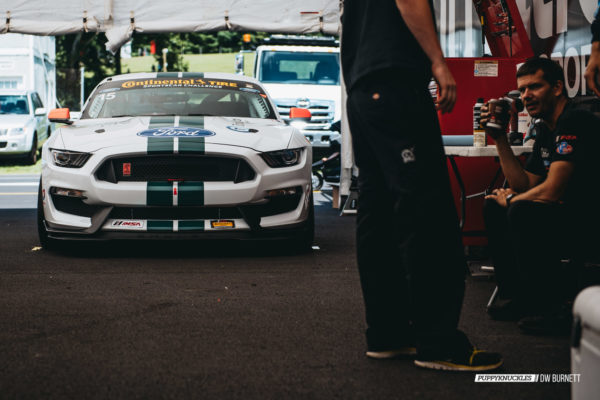 DW-Burnett-PUPPYKNUCKLES-LRP-IMSA-5038 DW-Burnett-PUPPYKNUCKLES-LRP-IMSA-5038