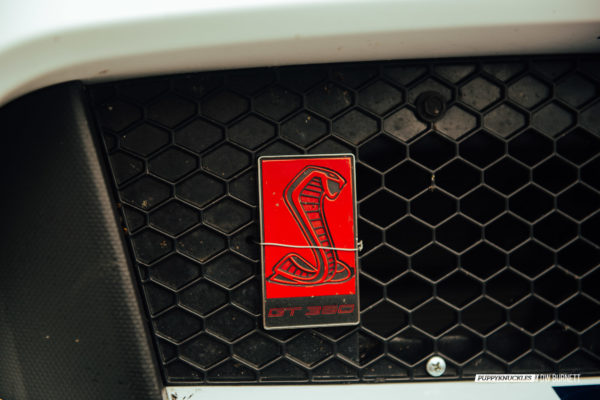 DW-Burnett-PUPPYKNUCKLES-LRP-IMSA-5060 DW-Burnett-PUPPYKNUCKLES-LRP-IMSA-5060