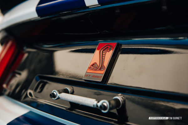 DW-Burnett-PUPPYKNUCKLES-LRP-IMSA-5069 DW-Burnett-PUPPYKNUCKLES-LRP-IMSA-5069