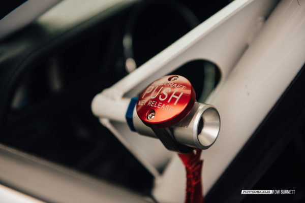 DW-Burnett-PUPPYKNUCKLES-LRP-IMSA-5074 DW-Burnett-PUPPYKNUCKLES-LRP-IMSA-5074