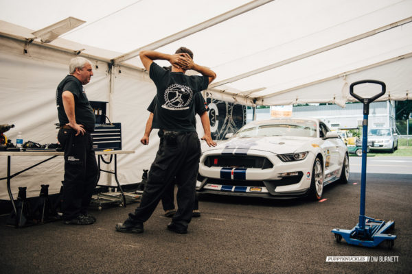 DW-Burnett-PUPPYKNUCKLES-LRP-IMSA-5078 DW-Burnett-PUPPYKNUCKLES-LRP-IMSA-5078