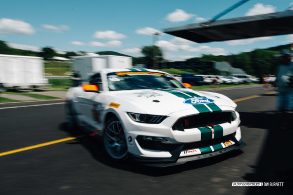 DW-Burnett-PUPPYKNUCKLES-LRP-IMSA-5090 DW-Burnett-PUPPYKNUCKLES-LRP-IMSA-5090