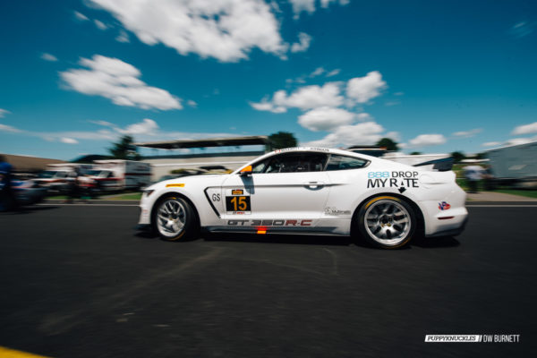 DW-Burnett-PUPPYKNUCKLES-LRP-IMSA-5098 DW-Burnett-PUPPYKNUCKLES-LRP-IMSA-5098