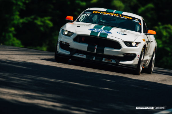 DW-Burnett-PUPPYKNUCKLES-LRP-IMSA-5141 DW-Burnett-PUPPYKNUCKLES-LRP-IMSA-5141