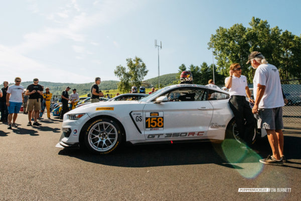 DW-Burnett-PUPPYKNUCKLES-LRP-IMSA-5170 DW-Burnett-PUPPYKNUCKLES-LRP-IMSA-5170