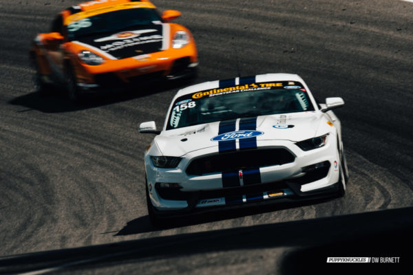 DW-Burnett-PUPPYKNUCKLES-LRP-IMSA-5425 DW-Burnett-PUPPYKNUCKLES-LRP-IMSA-5425