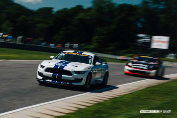 DW-Burnett-PUPPYKNUCKLES-LRP-IMSA-5428 DW-Burnett-PUPPYKNUCKLES-LRP-IMSA-5428