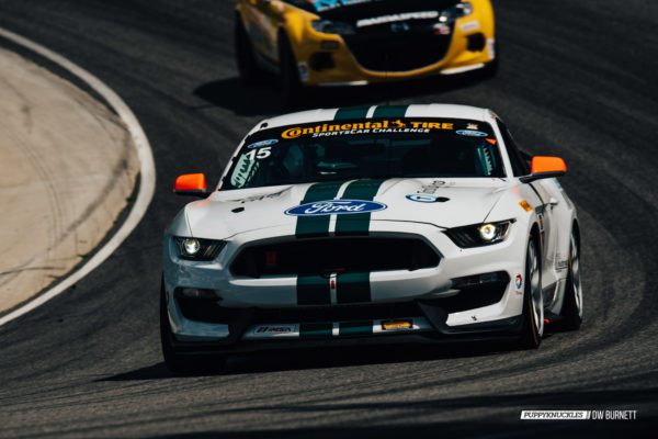 DW-Burnett-PUPPYKNUCKLES-LRP-IMSA-5464 DW-Burnett-PUPPYKNUCKLES-LRP-IMSA-5464