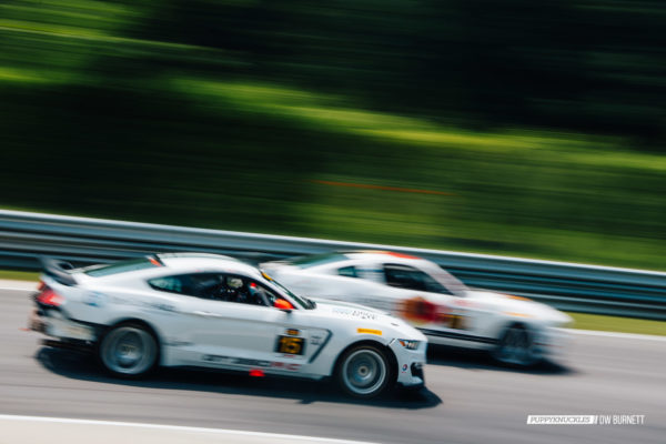 DW-Burnett-PUPPYKNUCKLES-LRP-IMSA-5630 DW-Burnett-PUPPYKNUCKLES-LRP-IMSA-5630