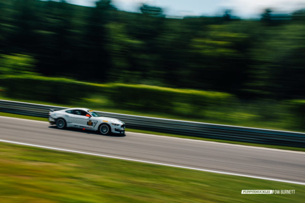 DW-Burnett-PUPPYKNUCKLES-LRP-IMSA-5701 DW-Burnett-PUPPYKNUCKLES-LRP-IMSA-5701