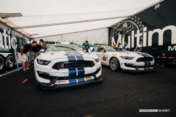 DW-Burnett-PUPPYKNUCKLES-LRP-IMSA-5962 DW-Burnett-PUPPYKNUCKLES-LRP-IMSA-5962