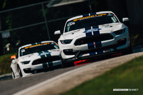 DW-Burnett-PUPPYKNUCKLES-LRP-IMSA-6991 DW-Burnett-PUPPYKNUCKLES-LRP-IMSA-6991