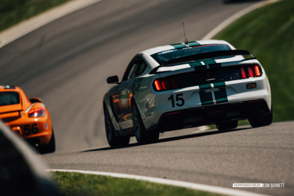 DW-Burnett-PUPPYKNUCKLES-LRP-IMSA-7153 DW-Burnett-PUPPYKNUCKLES-LRP-IMSA-7153