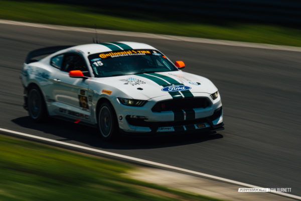 DW-Burnett-PUPPYKNUCKLES-LRP-IMSA-7380 DW-Burnett-PUPPYKNUCKLES-LRP-IMSA-7380