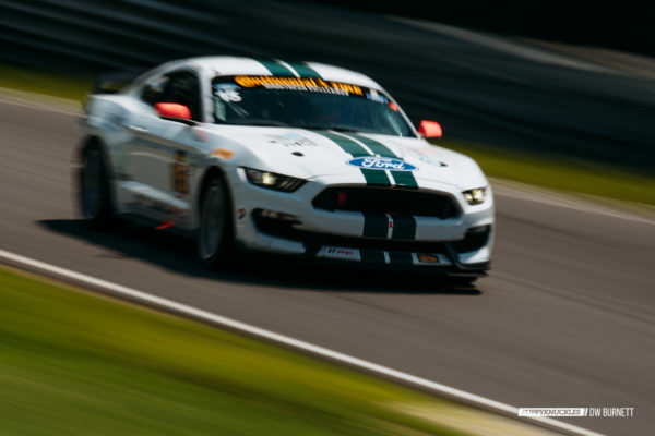 DW-Burnett-PUPPYKNUCKLES-LRP-IMSA-7448 DW-Burnett-PUPPYKNUCKLES-LRP-IMSA-7448