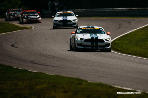 DW-Burnett-PUPPYKNUCKLES-LRP-IMSA-7465 DW-Burnett-PUPPYKNUCKLES-LRP-IMSA-7465