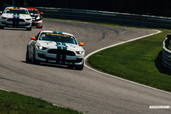 DW-Burnett-PUPPYKNUCKLES-LRP-IMSA-7521 DW-Burnett-PUPPYKNUCKLES-LRP-IMSA-7521